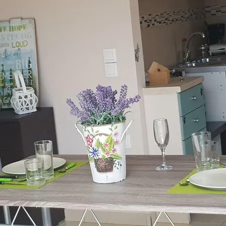 Apartment Butterfly